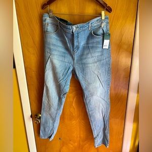 Wild Fable High Rise Skinny Jeans Size 18 NEW w. Tags